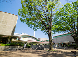 世田谷美術館（徒歩16分）